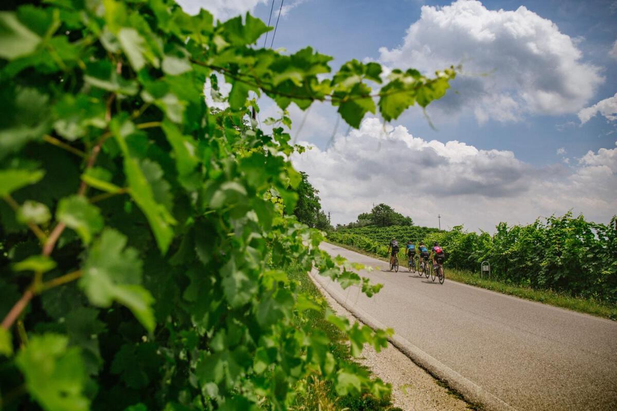 Agriturismo Vidalli Colvidor Zewnętrze zdjęcie